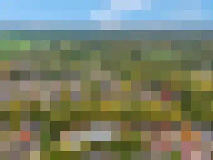 Haverakker 9 Doorn thumbnail 54
