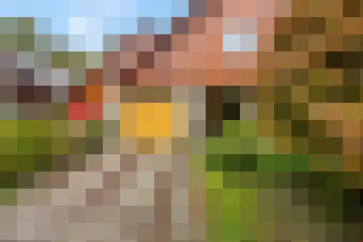 Haverakker 9 Doorn thumbnail 55