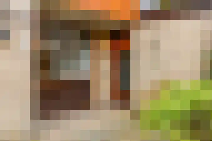 Haverakker 9 Doorn thumbnail 56