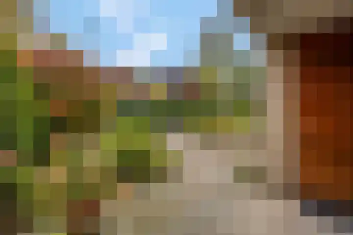 Haverakker 9 Doorn thumbnail 57