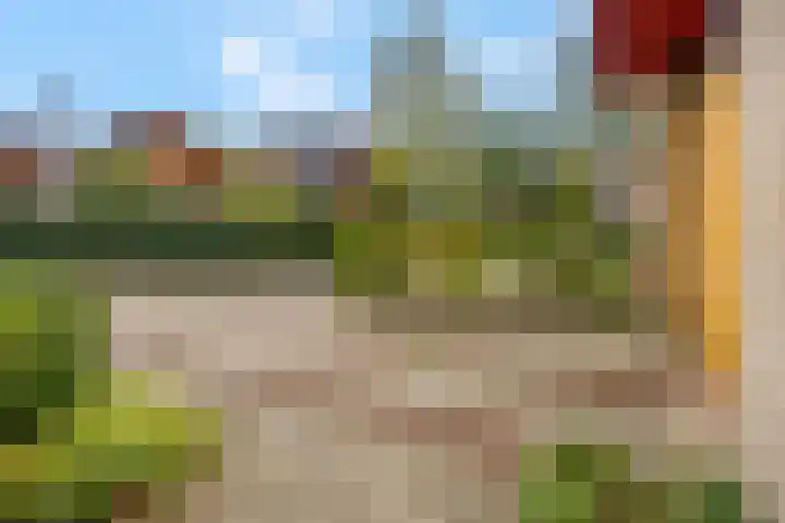 Haverakker 9 Doorn thumbnail 58