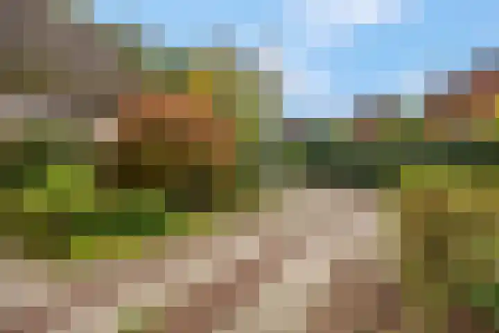 Haverakker 9 Doorn thumbnail 59