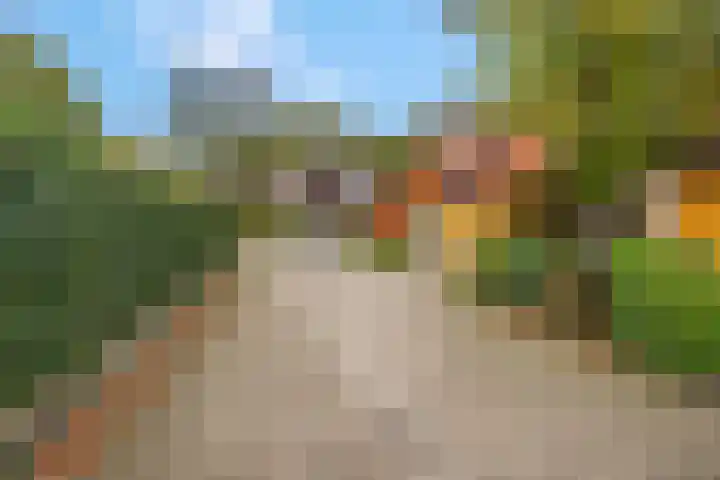 Haverakker 9 Doorn thumbnail 60