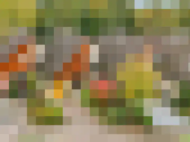Haverakker 9 Doorn thumbnail 61