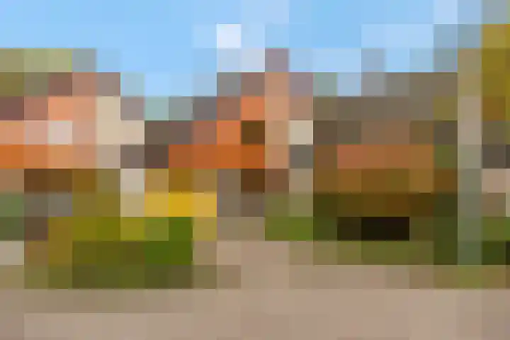 Haverakker 9 Doorn thumbnail 62