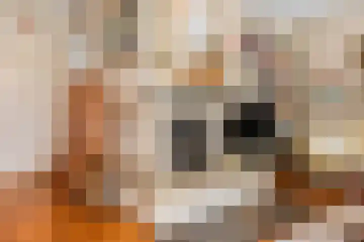 Haverakker 9 Doorn thumbnail 7