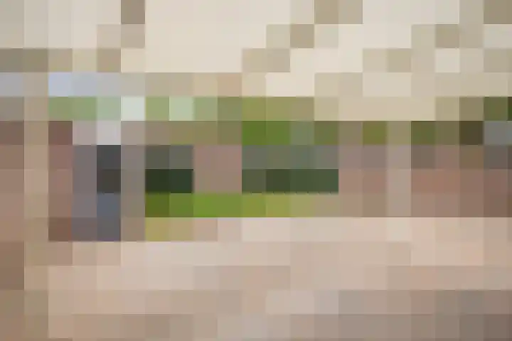 Haverbeemd 2 Valkenswaard thumbnail 26