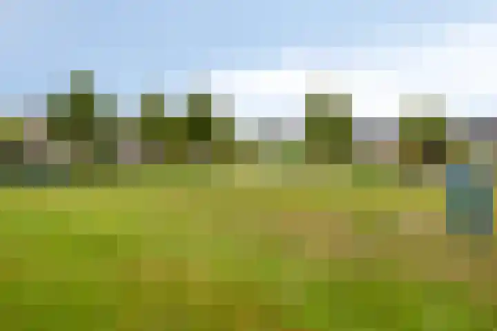 Haverbeemd 2 Valkenswaard thumbnail 32