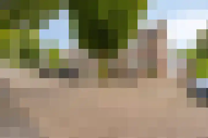 Haverbeemd 2 Valkenswaard thumbnail 5