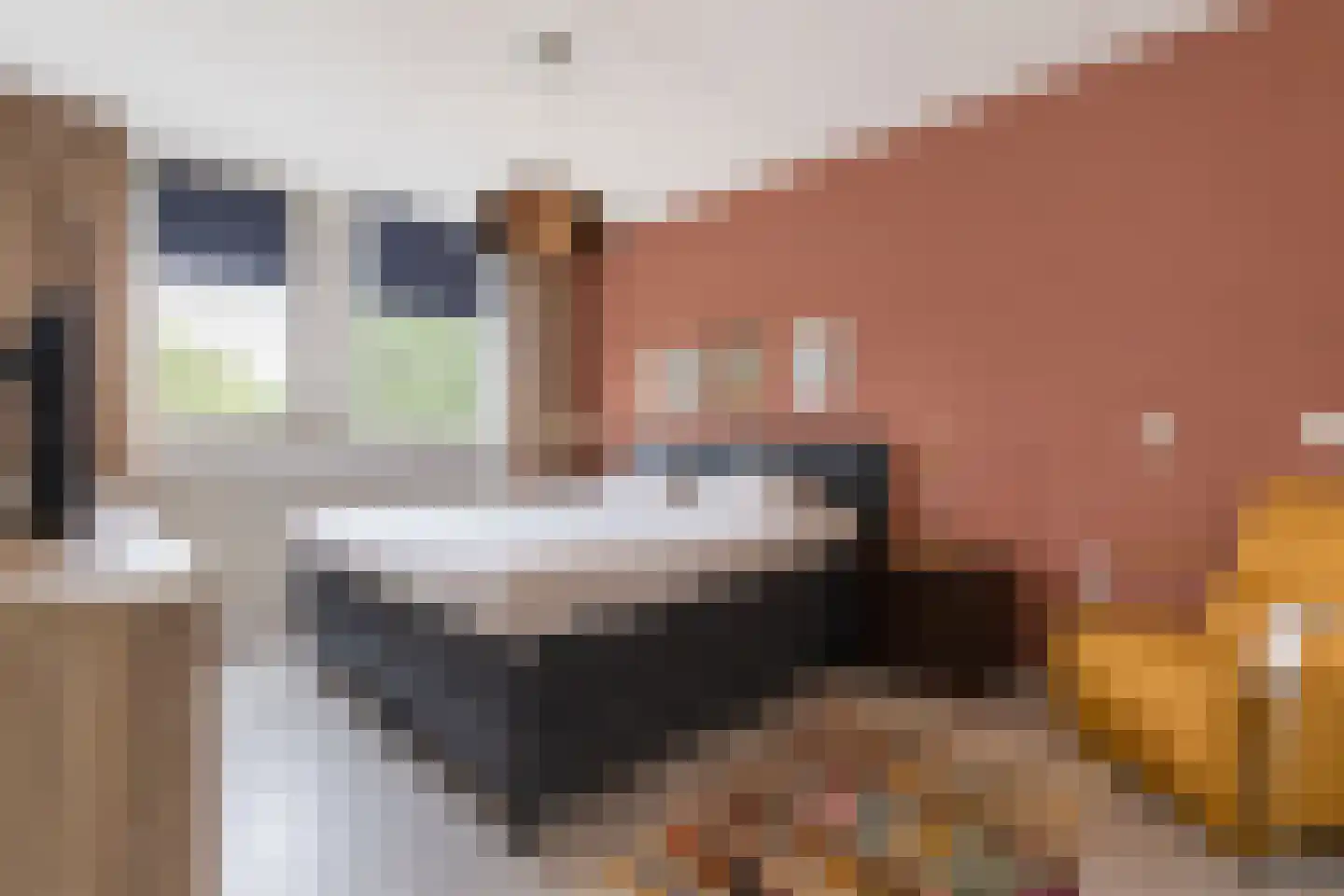 Haverbeemd 30 Valkenswaard thumbnail 17