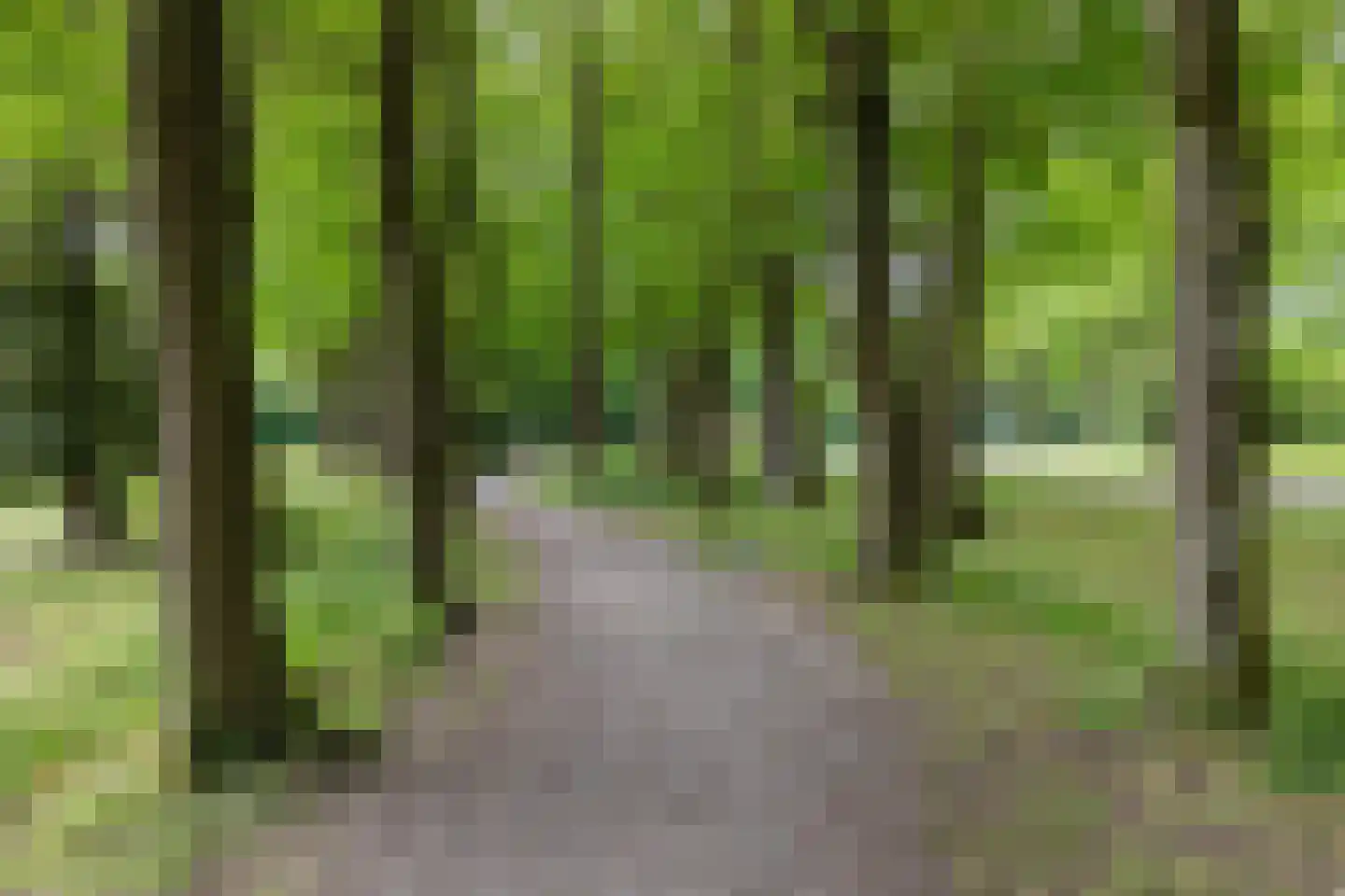 Haverbeemd 30 Valkenswaard thumbnail 37