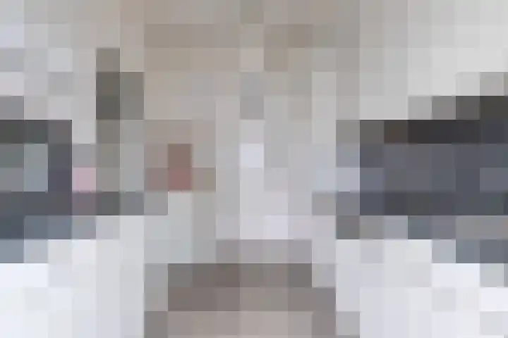 Havercamp 18 Asten thumbnail 13
