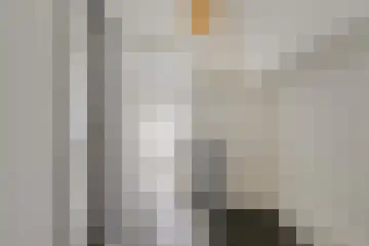 Havercamp 18 Asten thumbnail 23