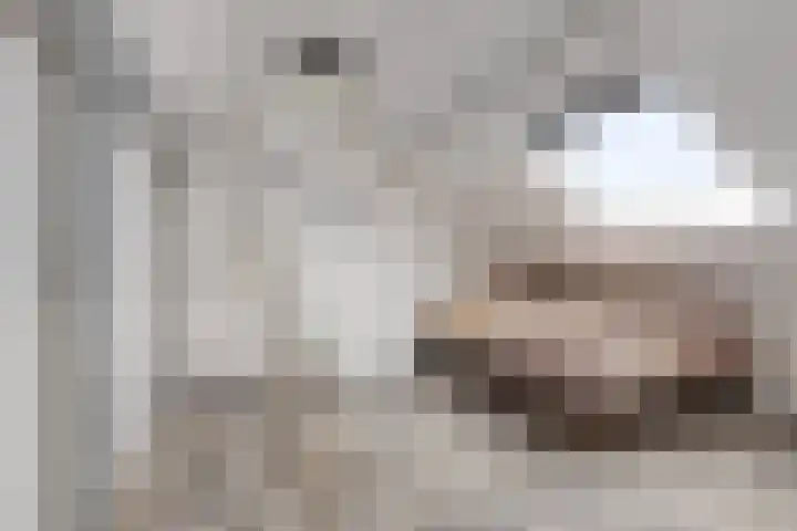 Havercamp 18 Asten thumbnail 27