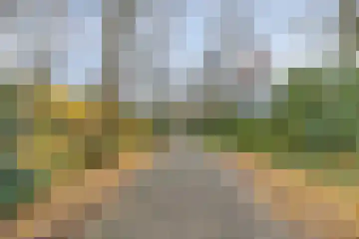 Havercamp 18 Asten thumbnail 32