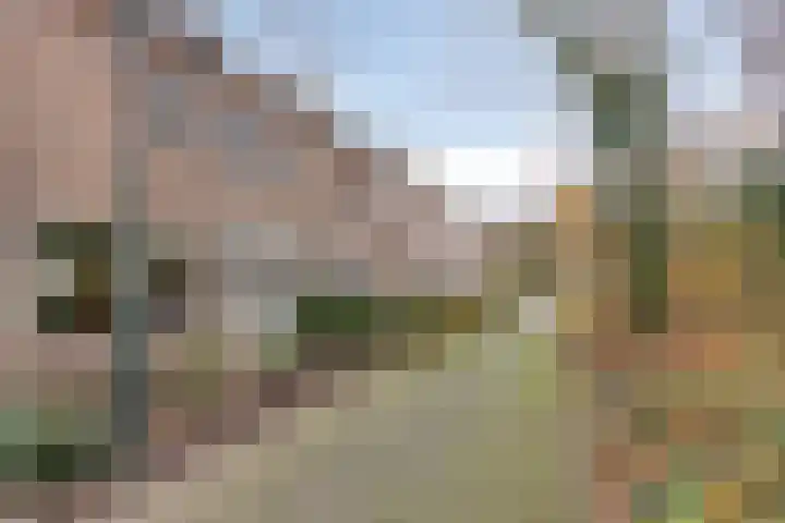 Havercamp 18 Asten thumbnail 6
