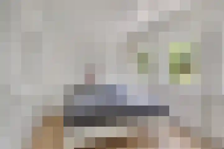 Havercamp 20 Asten thumbnail 17