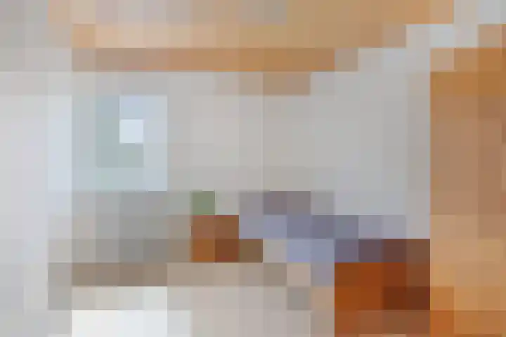 Havercamp 20 Asten thumbnail 22