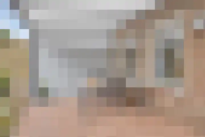 Havercamp 20 Asten thumbnail 28