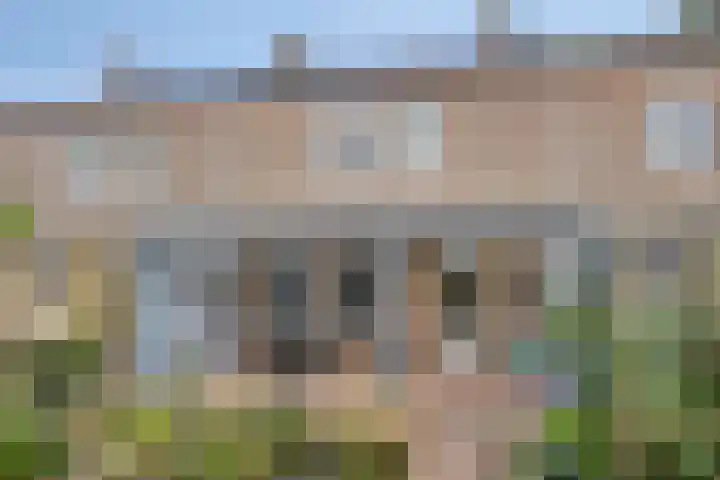 Havercamp 20 Asten thumbnail 30
