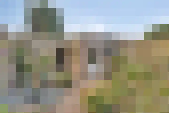 Havercamp 20 Asten thumbnail 4