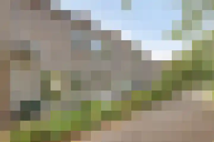 Havercamp 20 Asten thumbnail 7