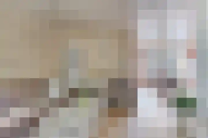 Havercamp 20 Asten thumbnail 9