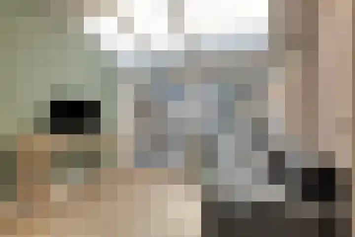 Havercamp 3 Asten thumbnail 14