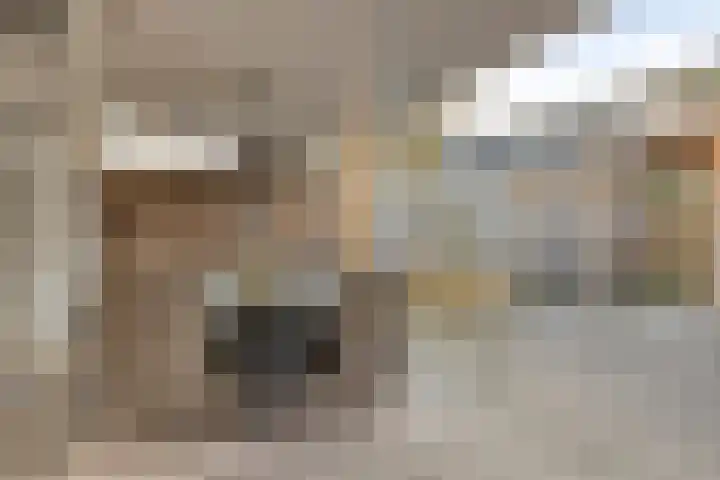 Havercamp 3 Asten thumbnail 24