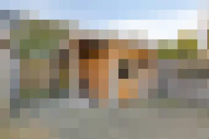 Havercamp 3 Asten thumbnail 25