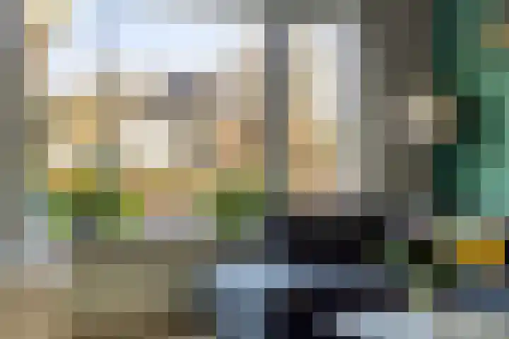 Havercamp 3 Asten thumbnail 6