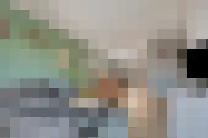 Havercamp 3 Asten thumbnail 7