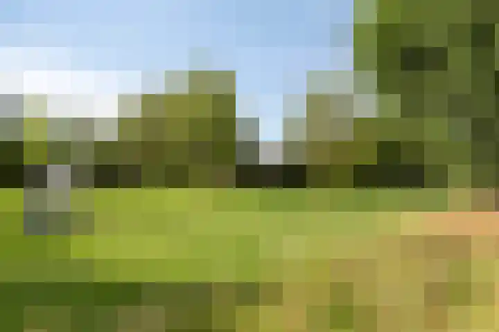 Haverdreef 119 Doetinchem thumbnail 39