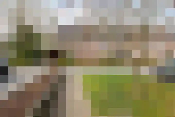 Haverdreef 25 Doetinchem thumbnail 12