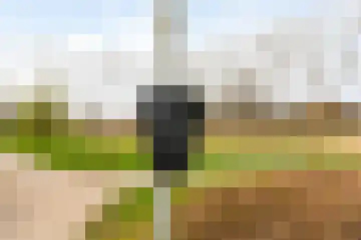 Haverdreef 25 Doetinchem thumbnail 47