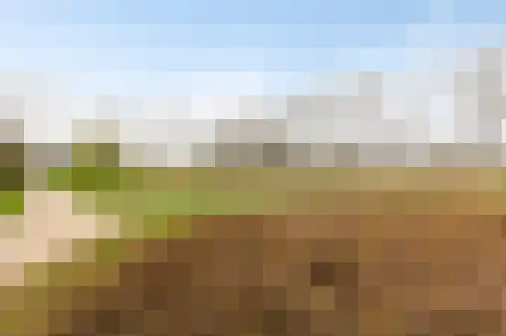 Haverdreef 25 Doetinchem thumbnail 48