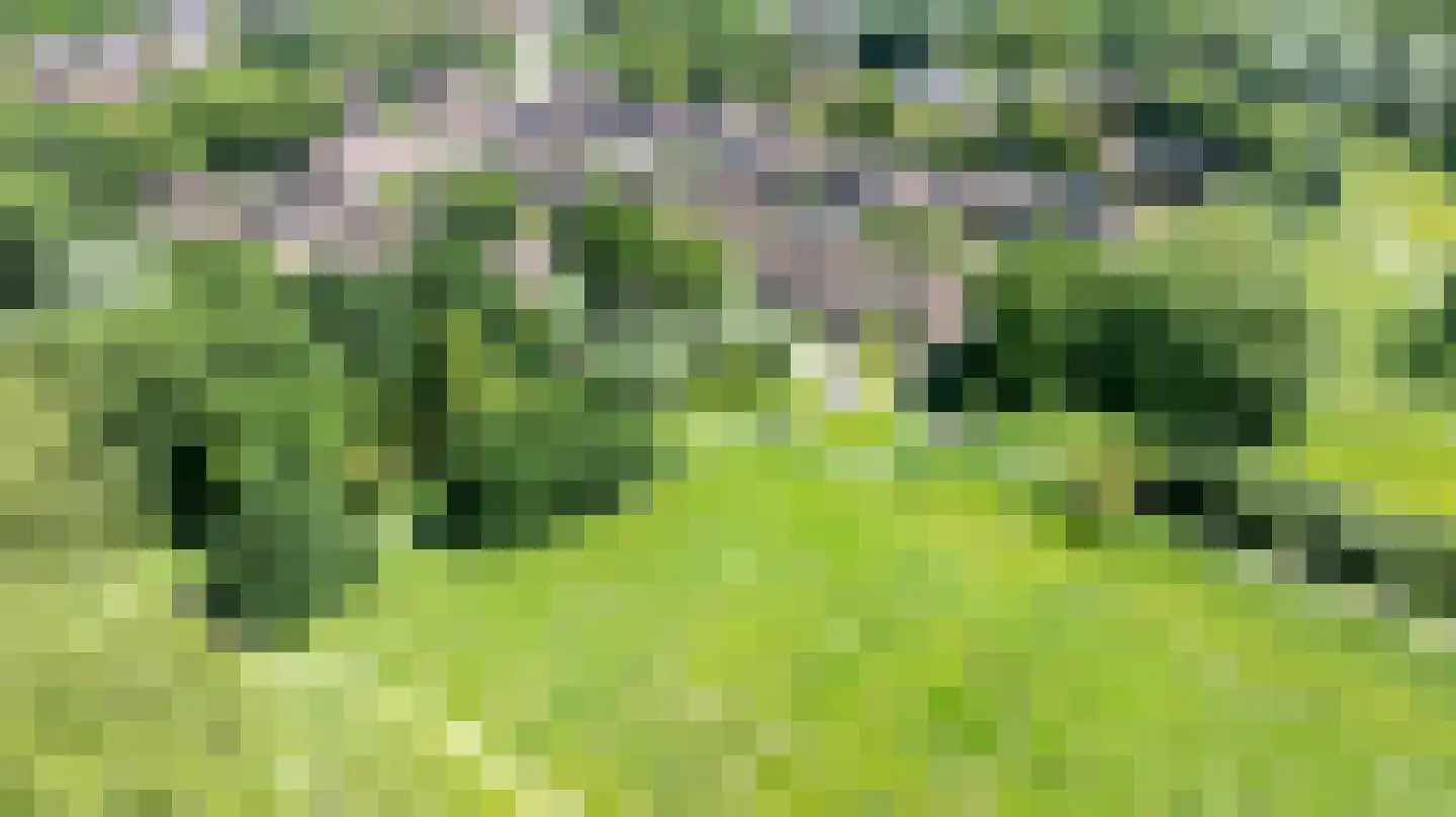 Haverdreef 33 Doetinchem thumbnail 46