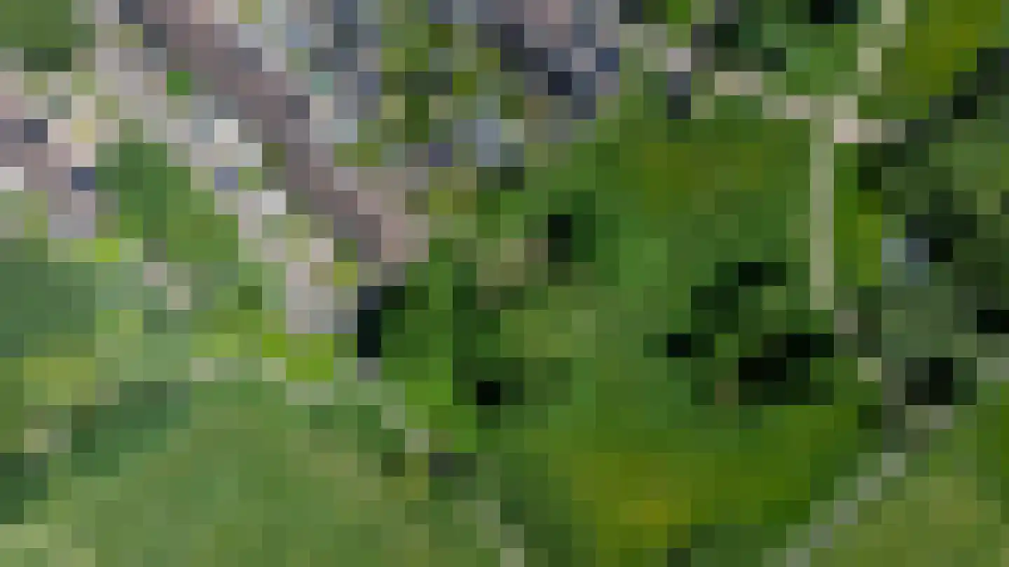 Haverdreef 33 Doetinchem thumbnail 47