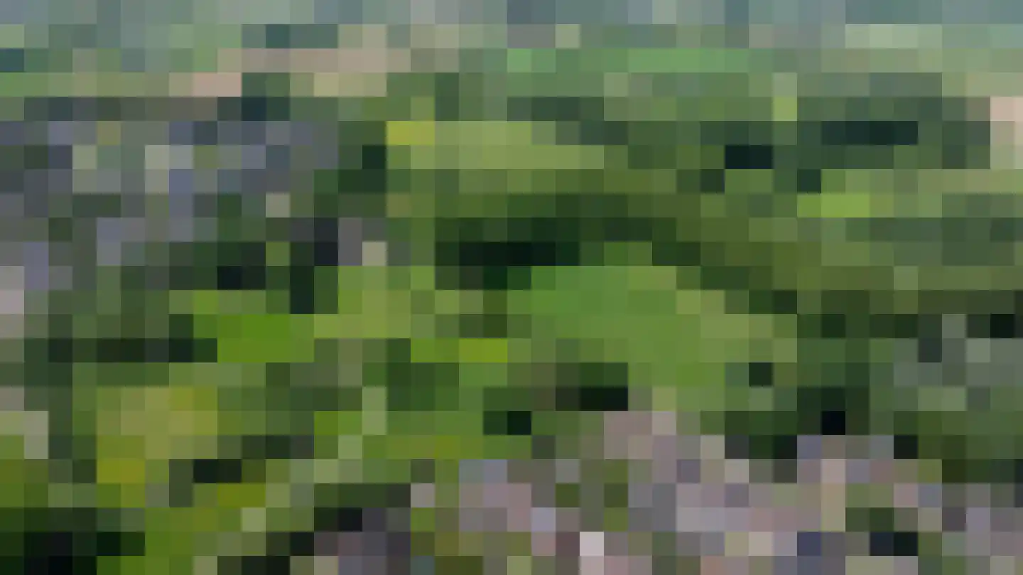 Haverdreef 33 Doetinchem thumbnail 48