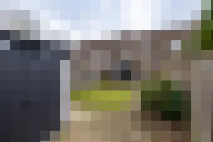 Haverdreef 59 Doetinchem thumbnail 18