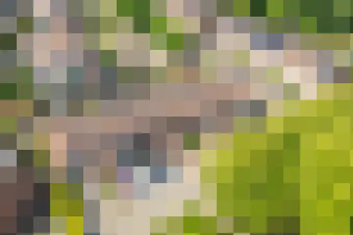 Haverdreef 7 Doetinchem thumbnail 35