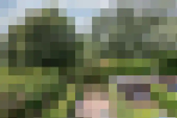 Haverdreef 71 Doetinchem thumbnail 45