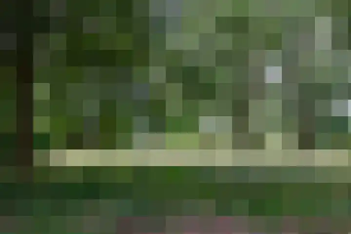 Haverdreef 71 Doetinchem thumbnail 51