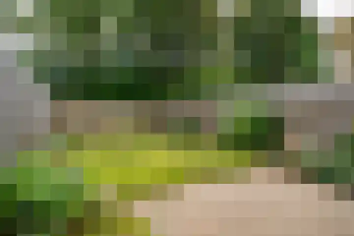 Haverdreef 79 Doetinchem thumbnail 39