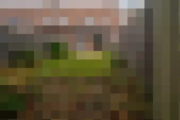 Haverdreef 79 Doetinchem thumbnail 41