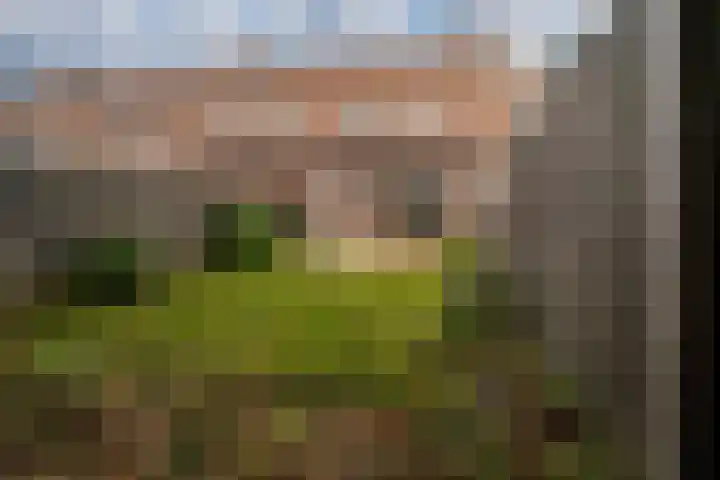 Haverdreef 79 Doetinchem thumbnail 42