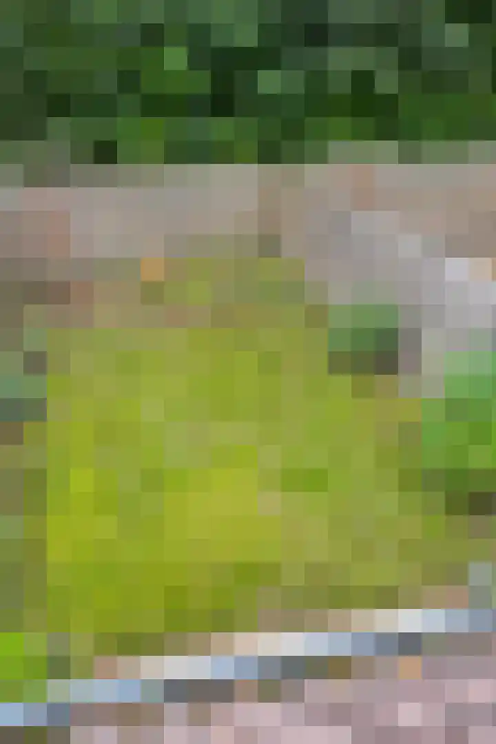 Haverdreef 79 Doetinchem thumbnail 43