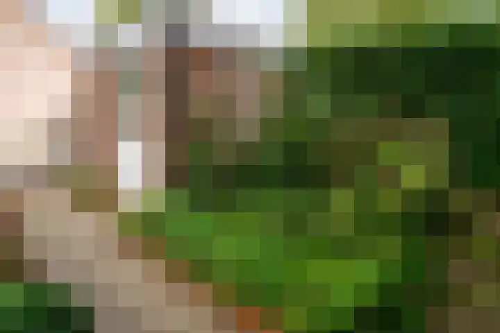 Haverdreef 79 Doetinchem thumbnail 6
