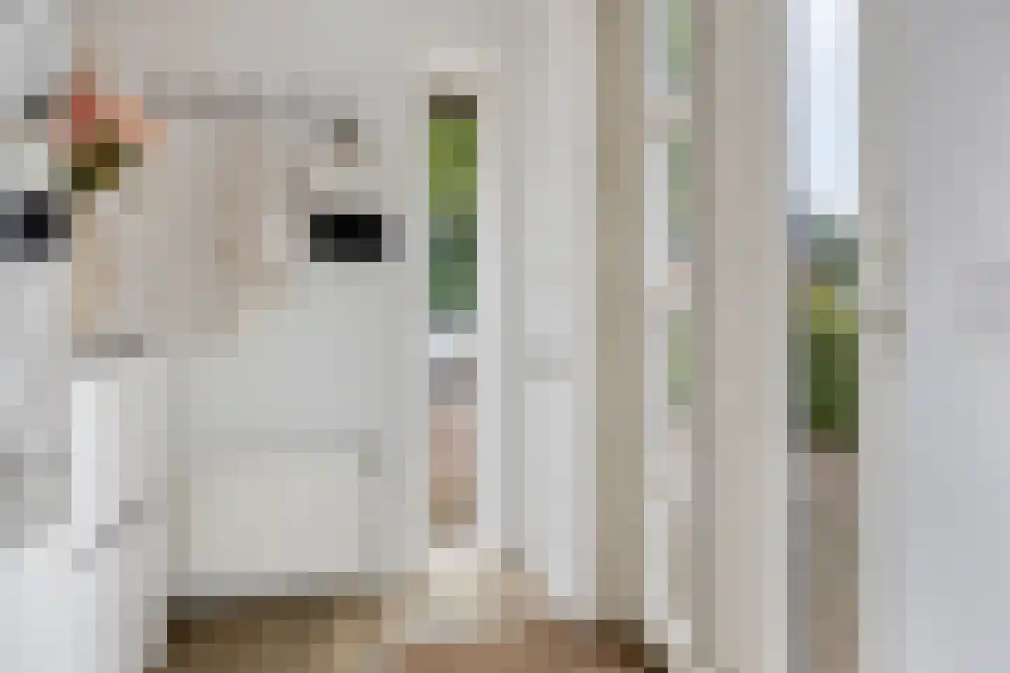 Haverdreef 9 Doetinchem thumbnail 9