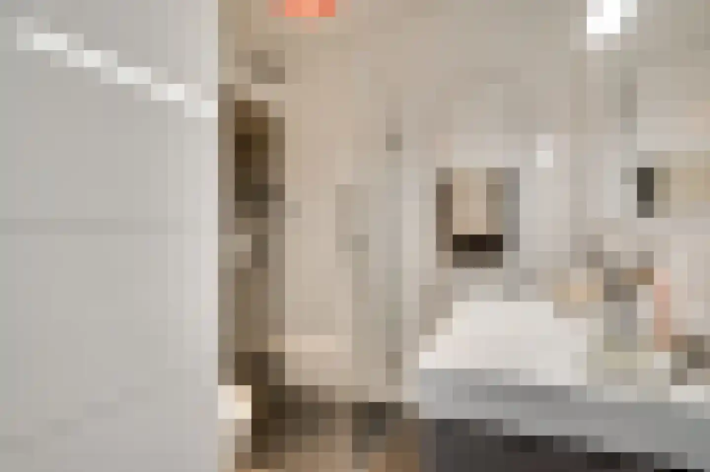 Haverhegge 18 Maastricht thumbnail 15